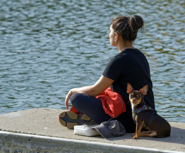 Discovering Mindfulness in Everyday Activities: Eating, Walking, and Breathing